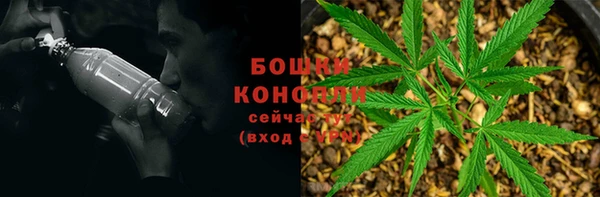PSILOCYBIN Кукмор