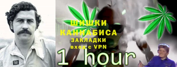 дурь Кулебаки