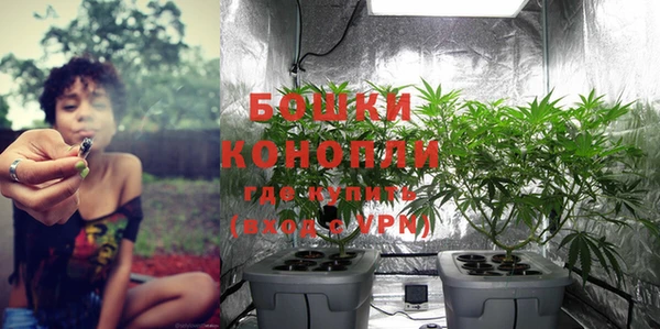 PSILOCYBIN Кукмор