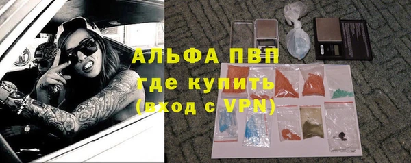 PSILOCYBIN Кукмор