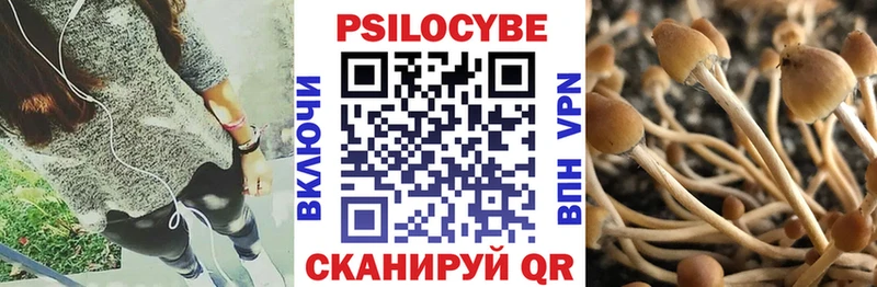 Купить  Куйбышев  Галлюциногенные грибы Magic Shrooms 